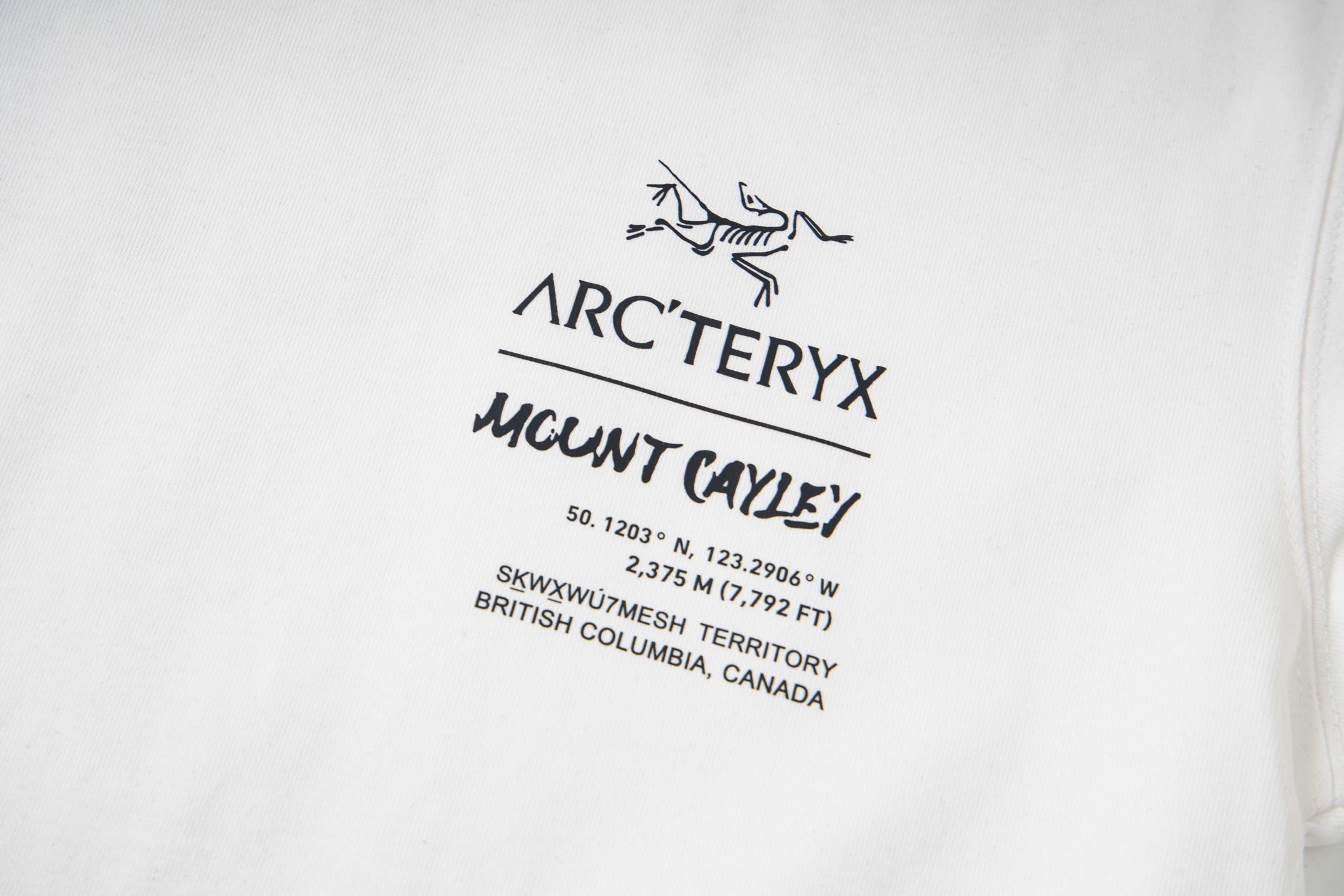 LuxluxHouse Best Quality Clothes T-shirt Arcteryx