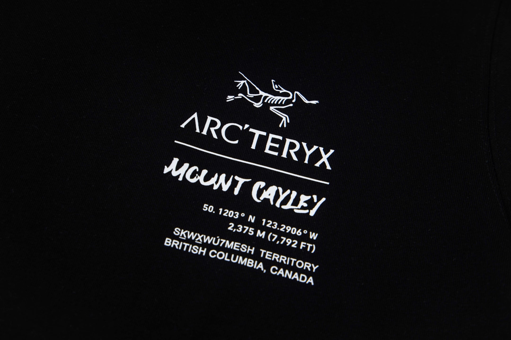 LuxluxHouse Best Quality Clothes T-shirt Arcteryx