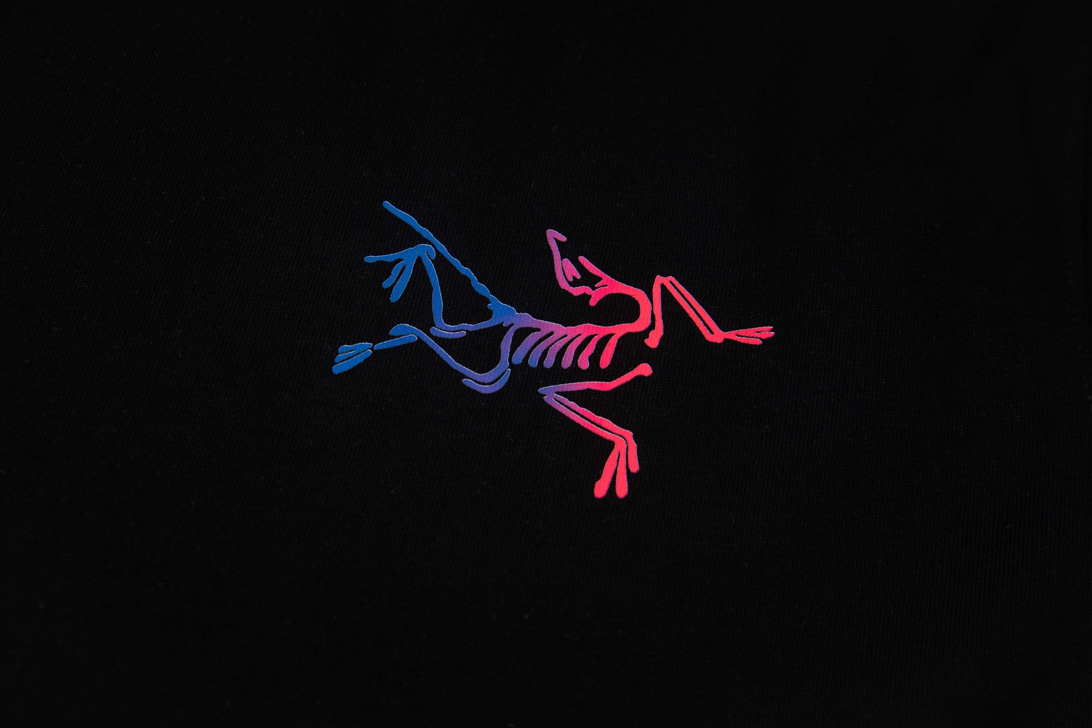 LuxluxHouse Best Quality Clothes T-shirt Arcteryx