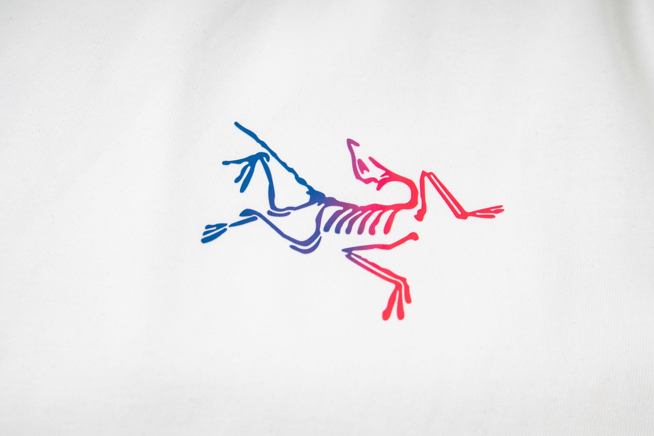 LuxluxHouse Best Quality Clothes T-shirt Arcteryx