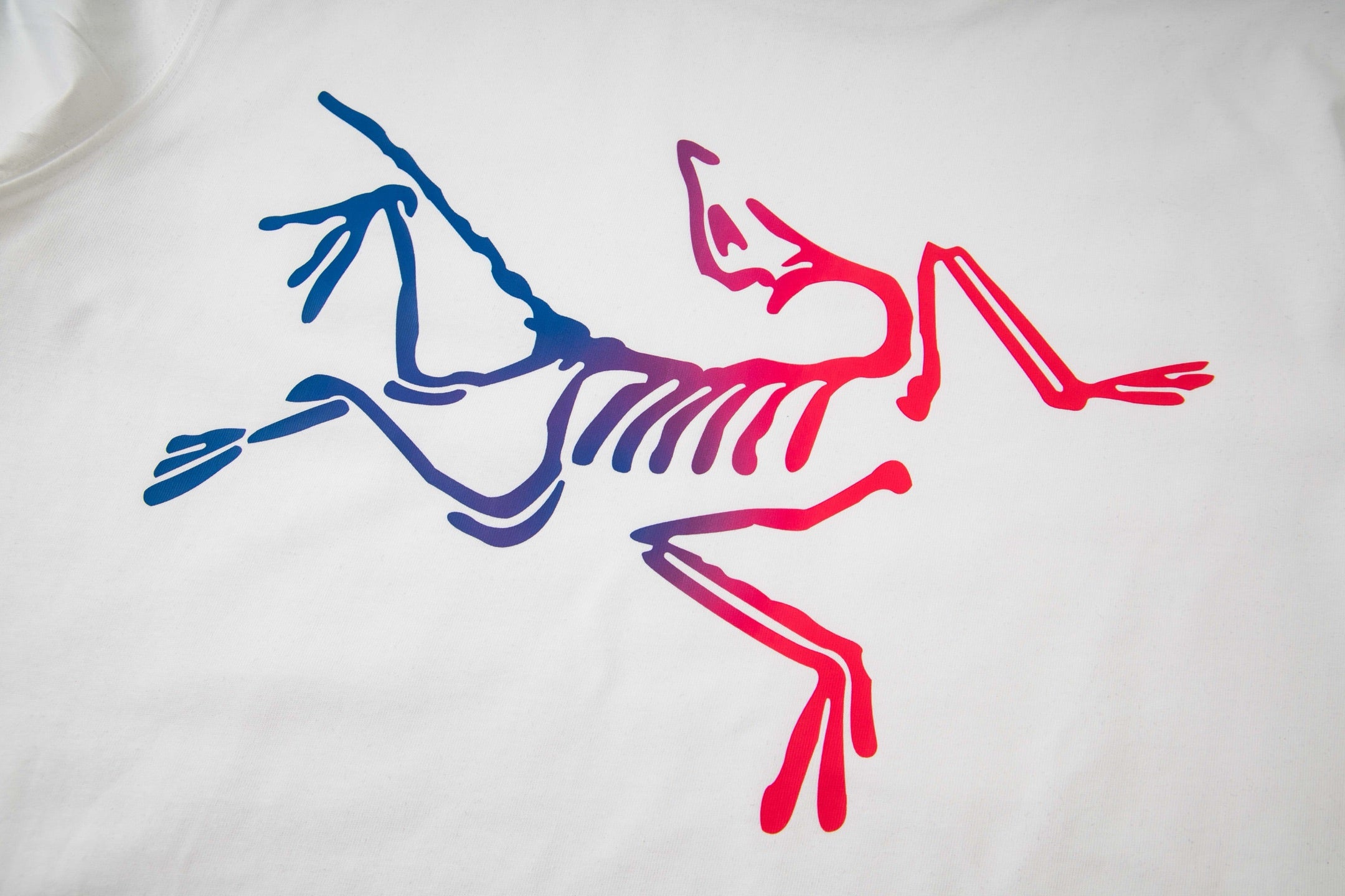 LuxluxHouse Best Quality Clothes T-shirt Arcteryx