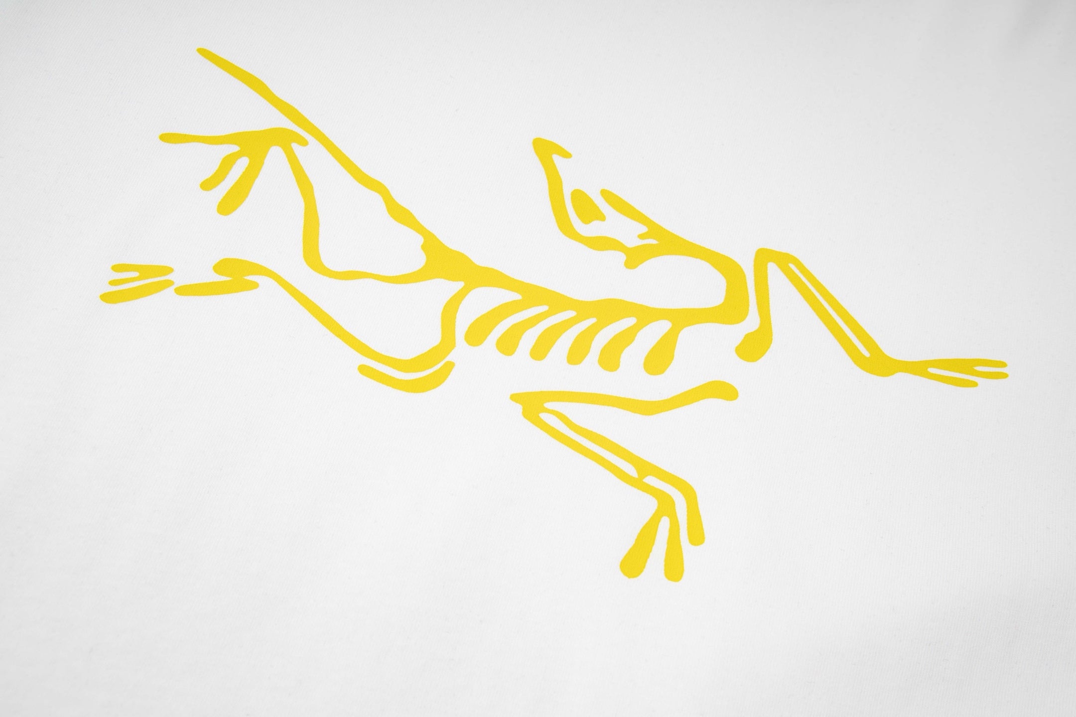 LuxluxHouse Best Quality Clothes T-shirt Arcteryx