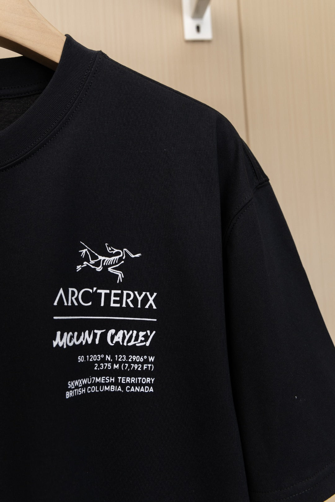 LuxluxHouse Best Quality Clothes T-shirt Arcteryx