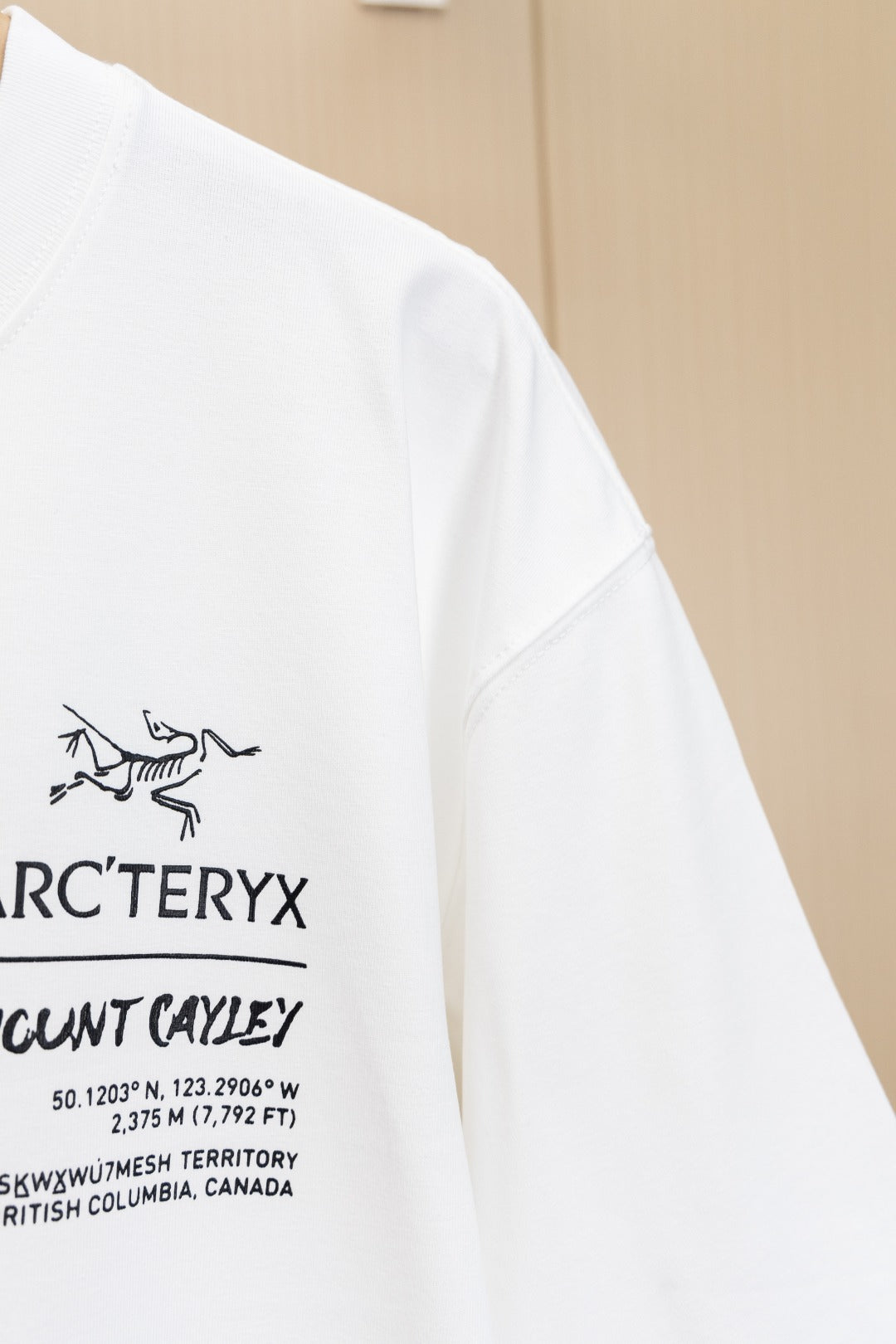 LuxluxHouse Best Quality Clothes T-shirt Arcteryx