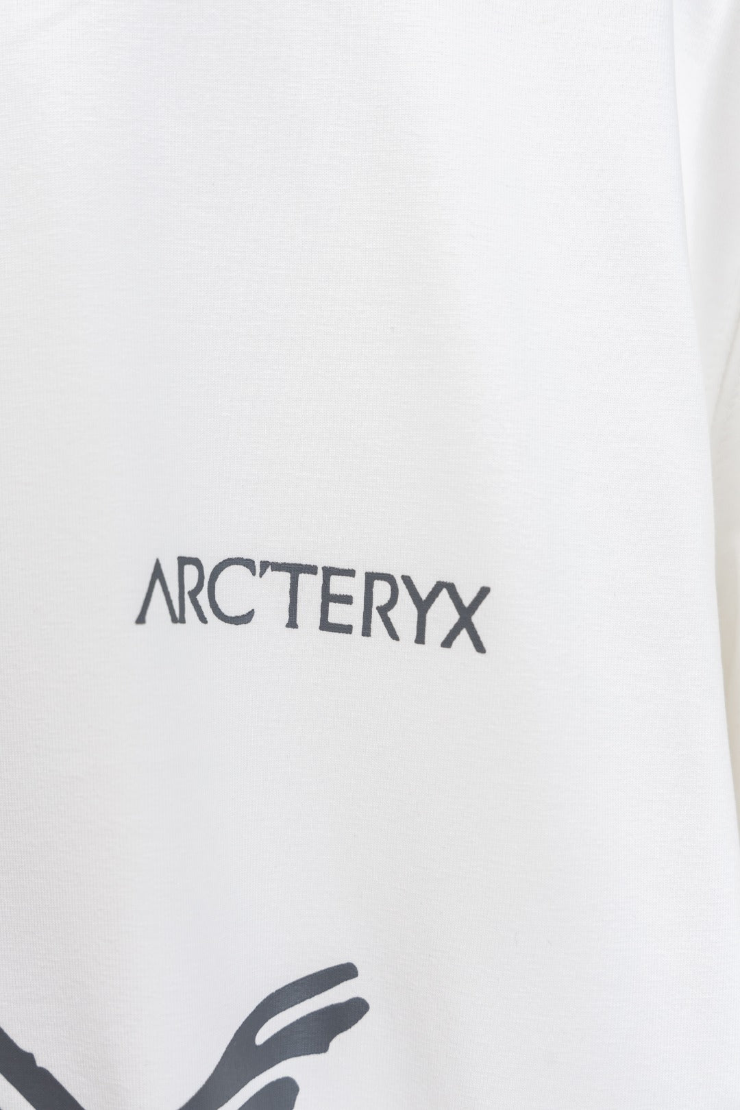 LuxluxHouse Best Quality Clothes T-shirt Arcteryx