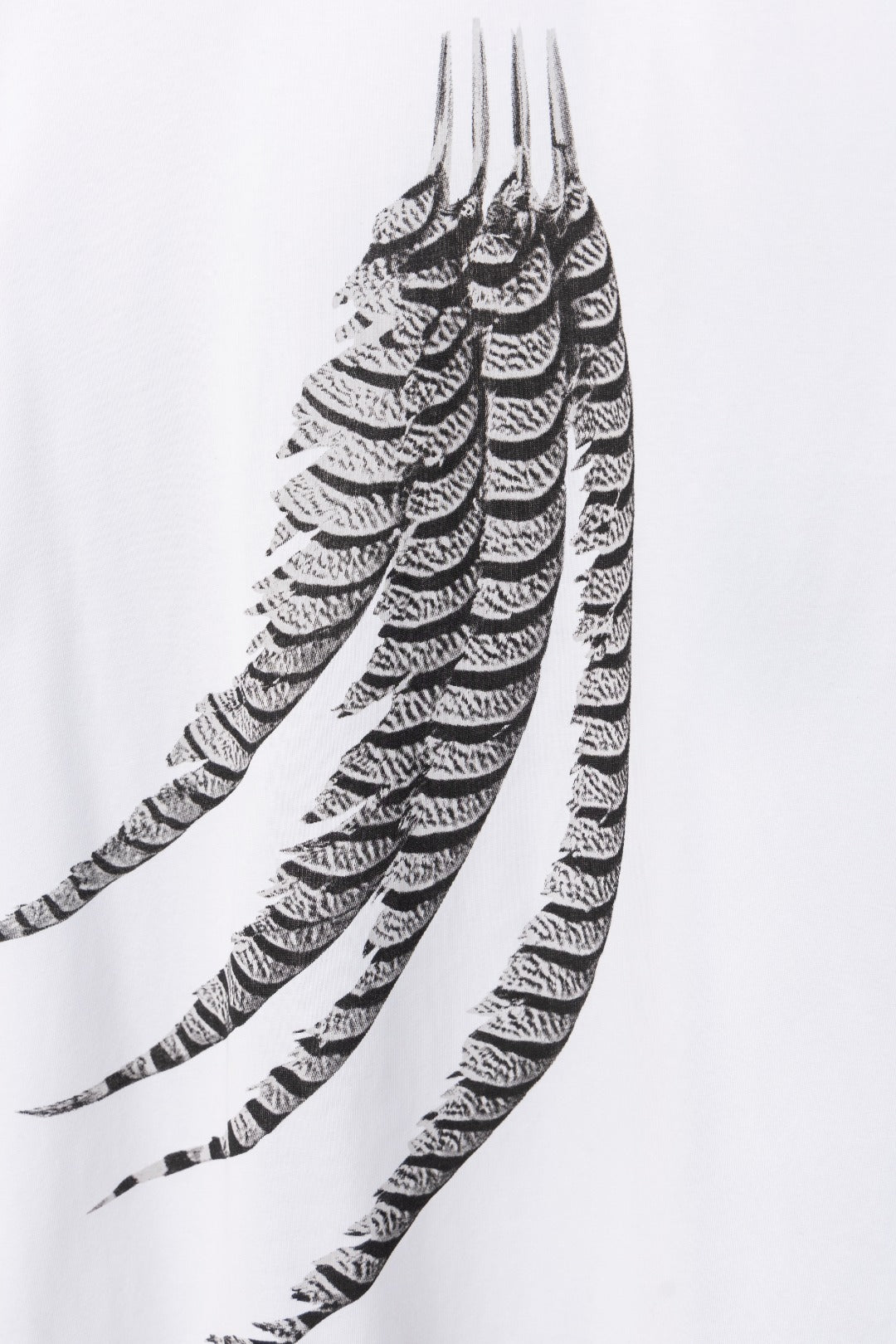 LuxluxHouse Best Quality Clothes T-shirt Loewe