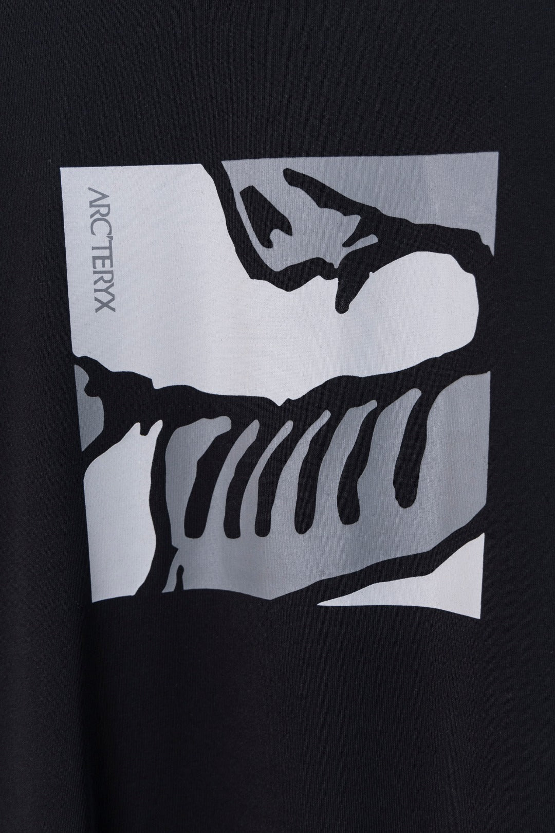 LuxluxHouse Best Quality Clothes T-shirt Arcteryx