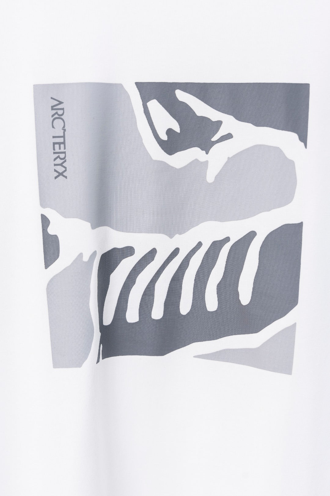 LuxluxHouse Best Quality Clothes T-shirt Arcteryx