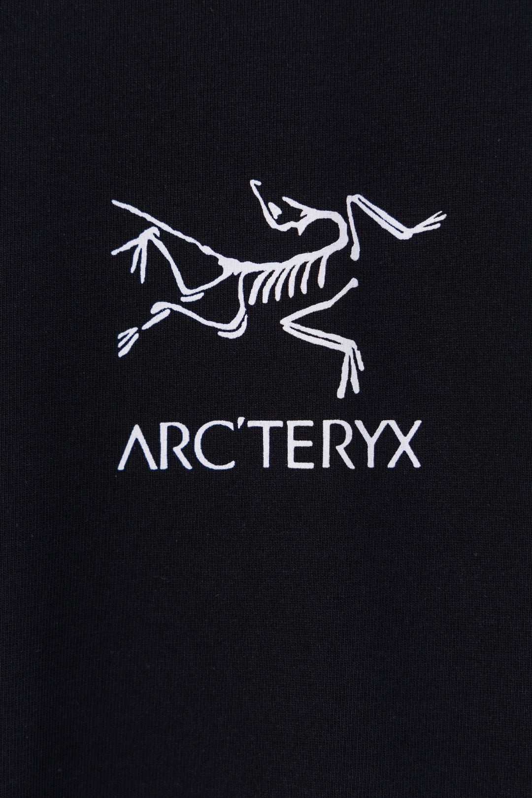 LuxluxHouse Best Quality Clothes T-shirt Arcteryx
