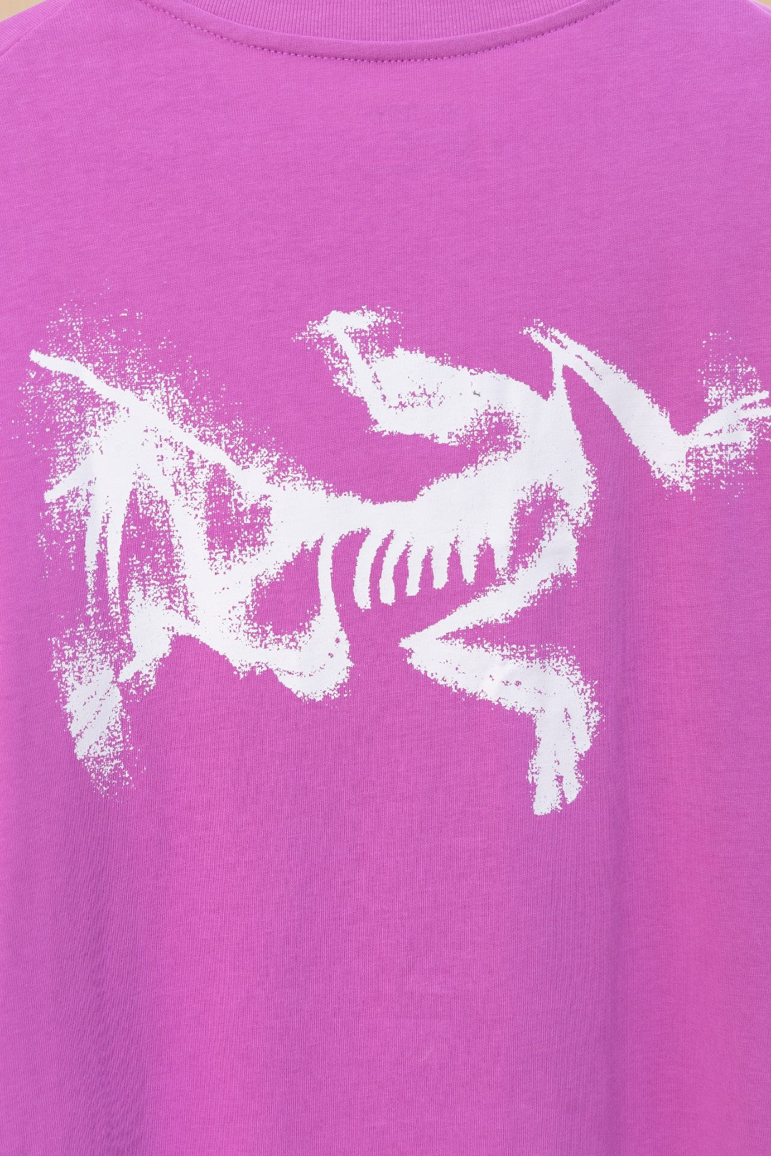 LuxluxHouse Best Quality Clothes T-shirt Arcteryx