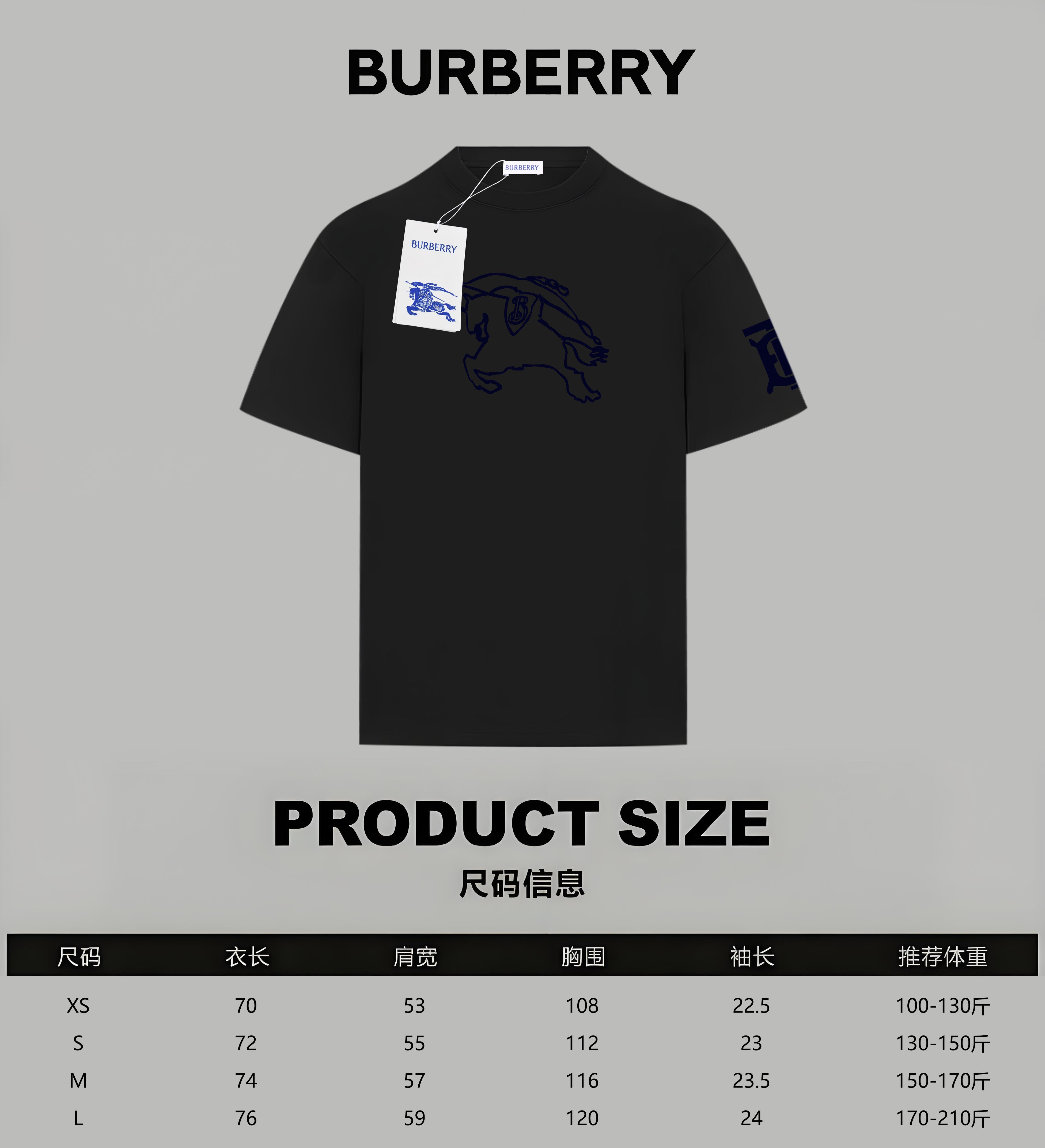 LuxluxHouse Best Quality Clothes Burberry T-shirt