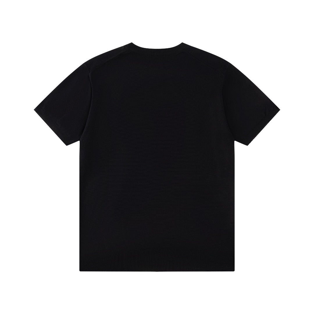 LuxluxHouse Best Quality Clothes Ralph Lauren T-shirt