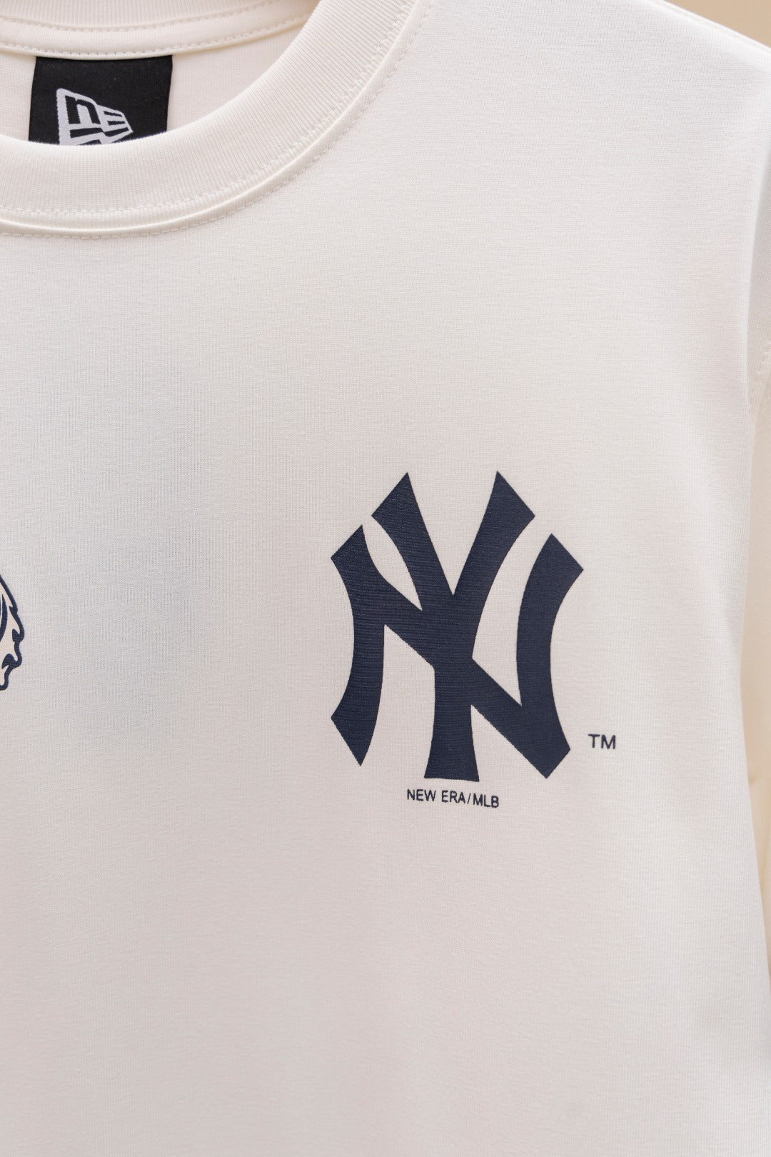 LuxluxHouse Best Quality Clothes The North Face & MLB T-shirt