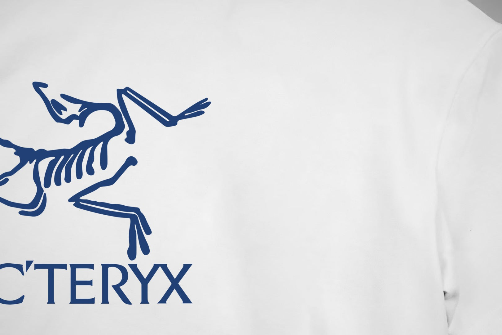 LuxluxHouse Best Quality Clothes T-shirt Arcteryx